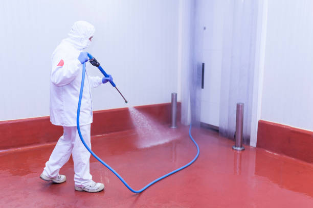 Best Rust Removal  in Ashland City, TN
